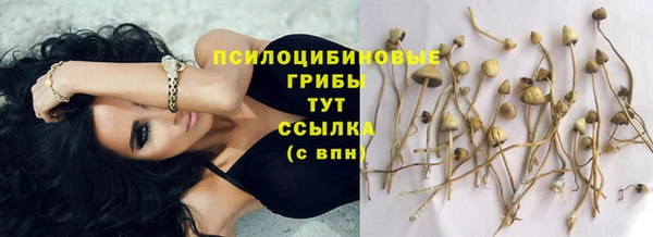 круглые Арсеньев