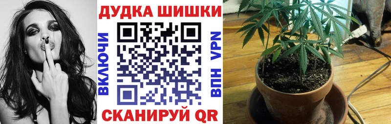 Каннабис индика  Буинск 